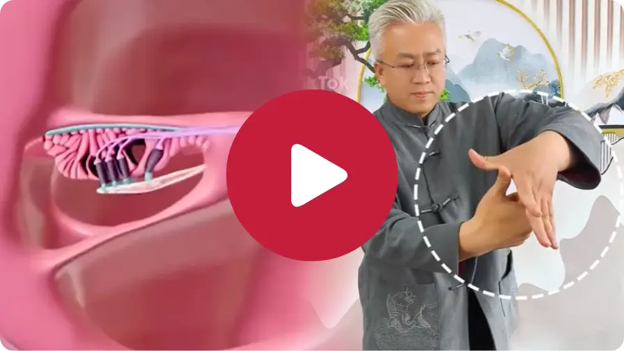 Illustration of the inner ear next to a man demonstrating a hand technique, suggesting a method for tinnitus relief and how to stop ringing in the ears.